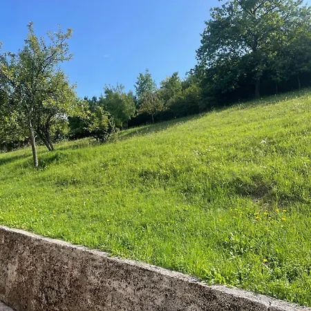 Viteskic * Gornji Kotorac