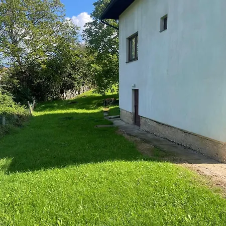 Viteskic Gornji Kotorac